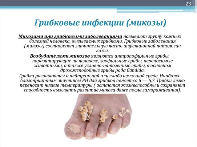 Что такое грибковая инфекция