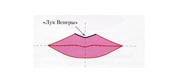 Безболезненное моделирование губ_лук венеры