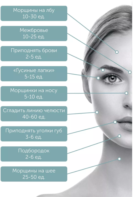 image (1).png